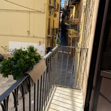 Casa Olivella Maison d'hôtes *